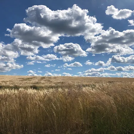 Oaza Spokoju Holiday home