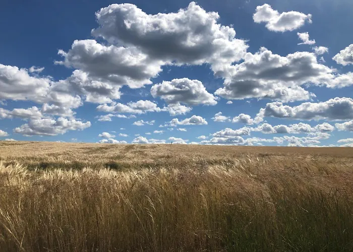 Oaza Spokoju Prázdninový dům