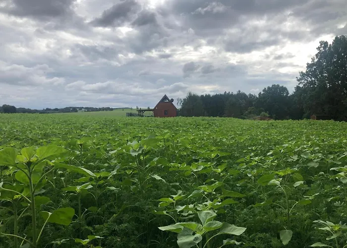 Prázdninový dům Oaza Spokoju Chojniczki