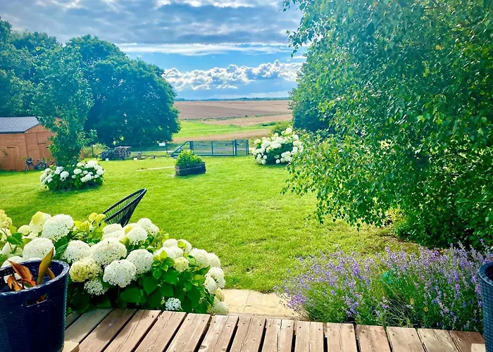 Oaza Spokoju * Chojniczki